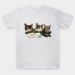 Bowties T-Shirt